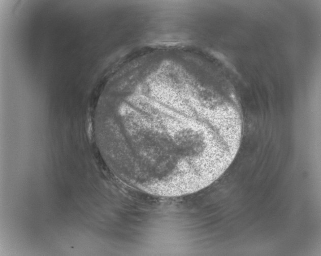 X0000068891350200606021908