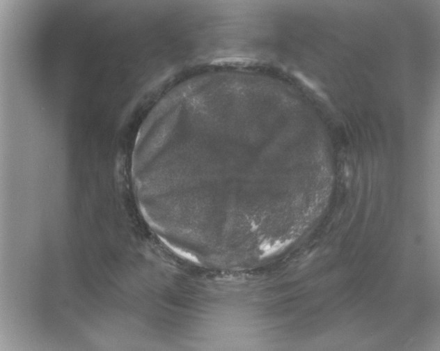 X0000068891351200606021908