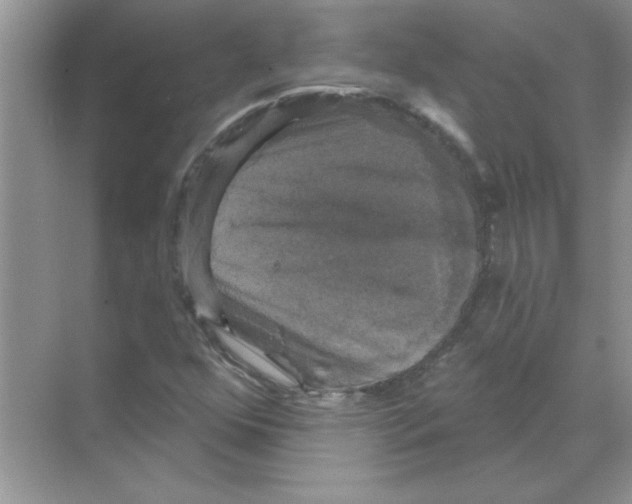 X0000068891352200606021908