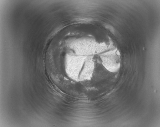 X0000068891354200606021908