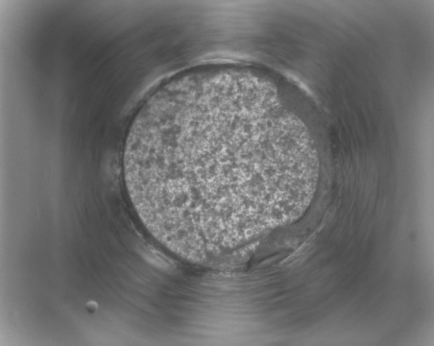 X0000068891355200606021908