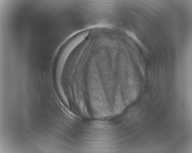 X0000068891356200606021908