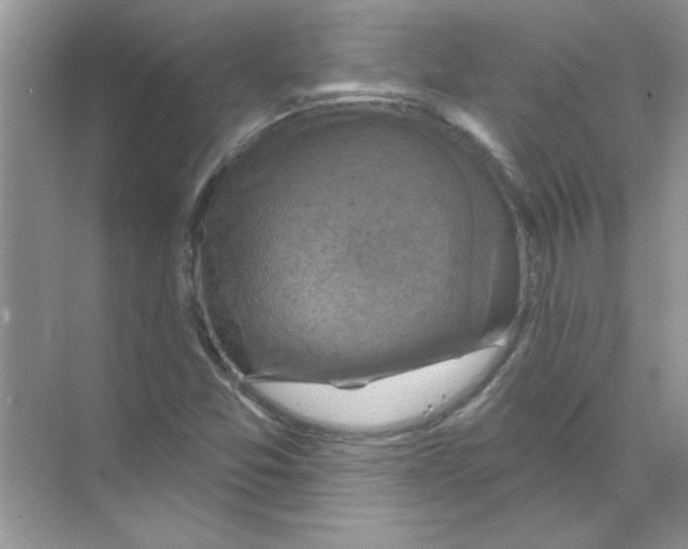 X0000068891357200606021908