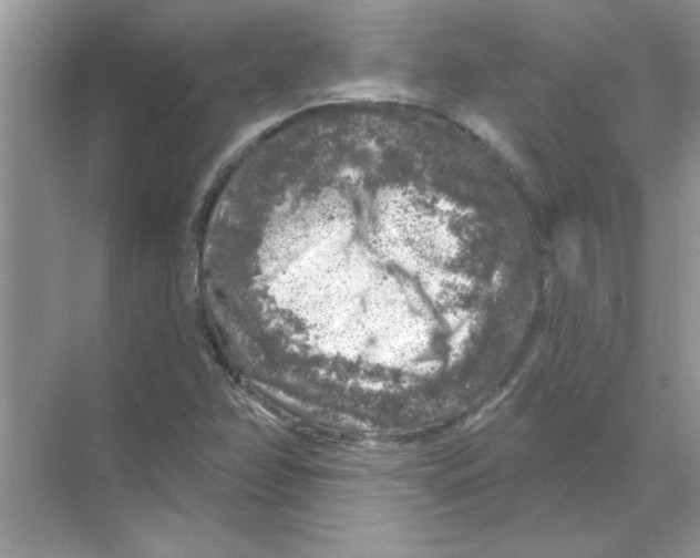 X0000068891358200606021908