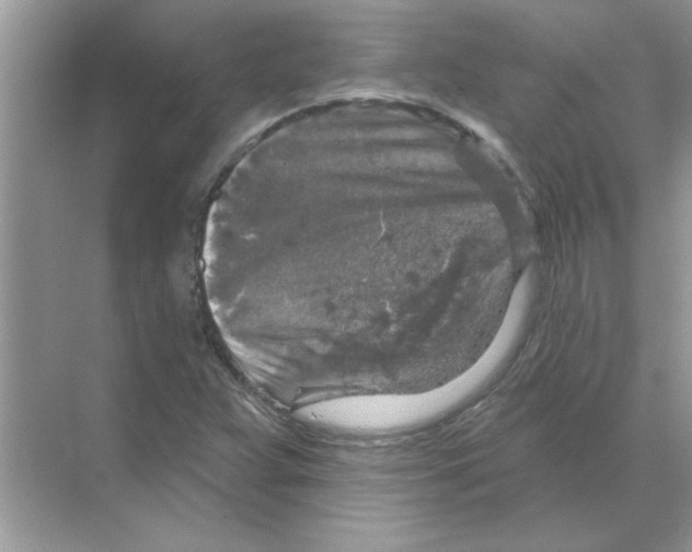 X0000068891359200606021908