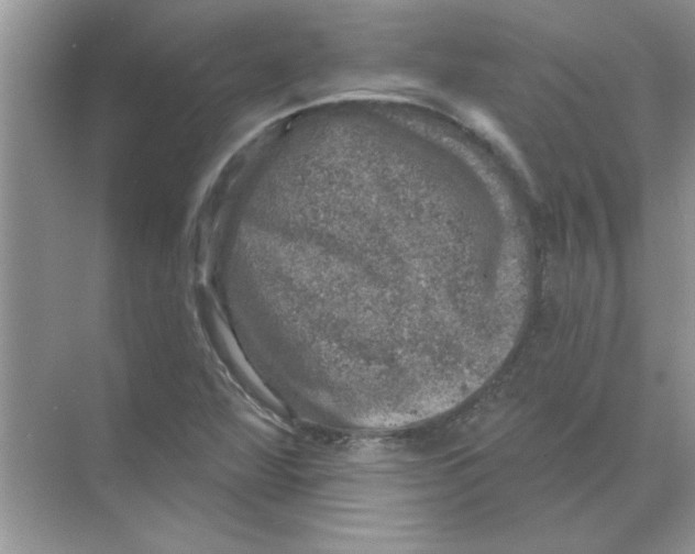 X0000068891360200606021908