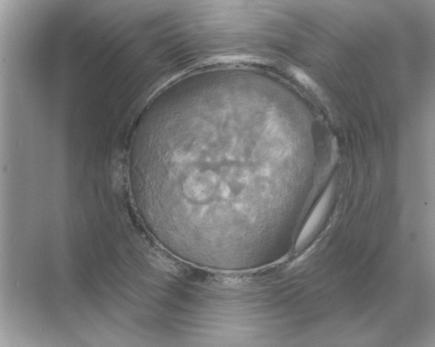 X0000068891361200606021908