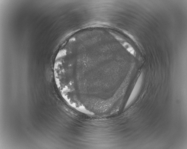 X0000068891363200606021908