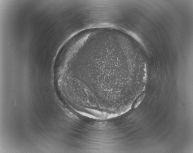 X0000068891364200606021908