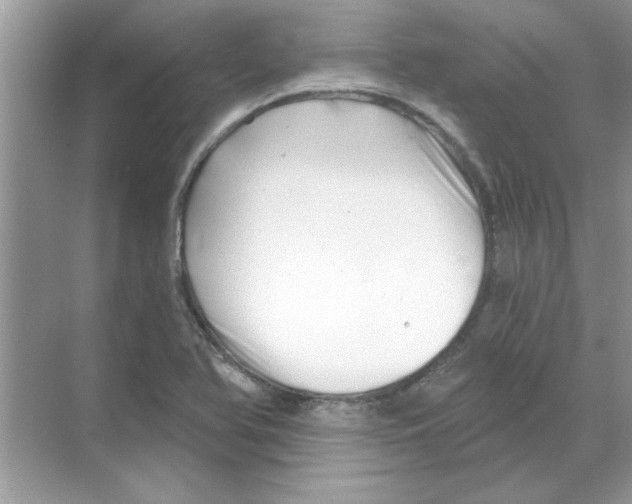 X0000068891366200606021908