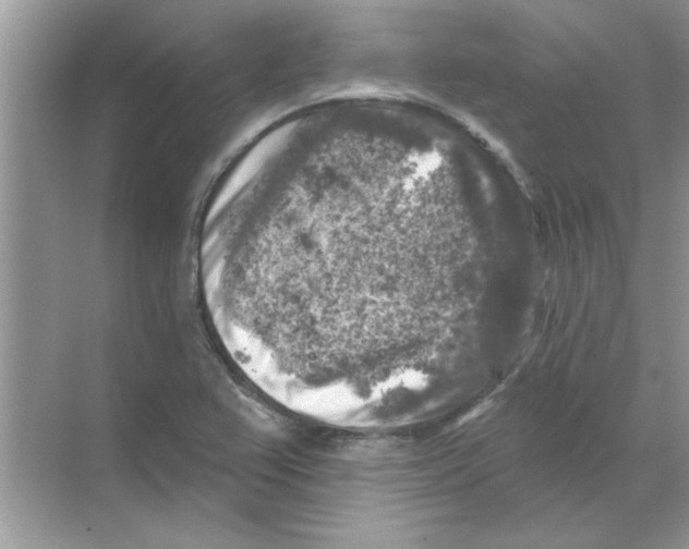 X0000068891367200606021908