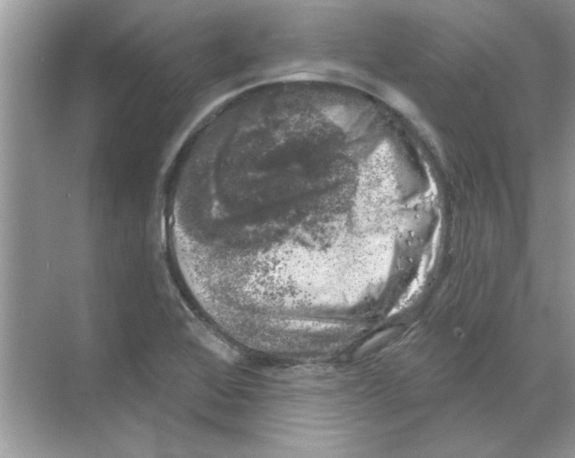 X0000068891368200606021908