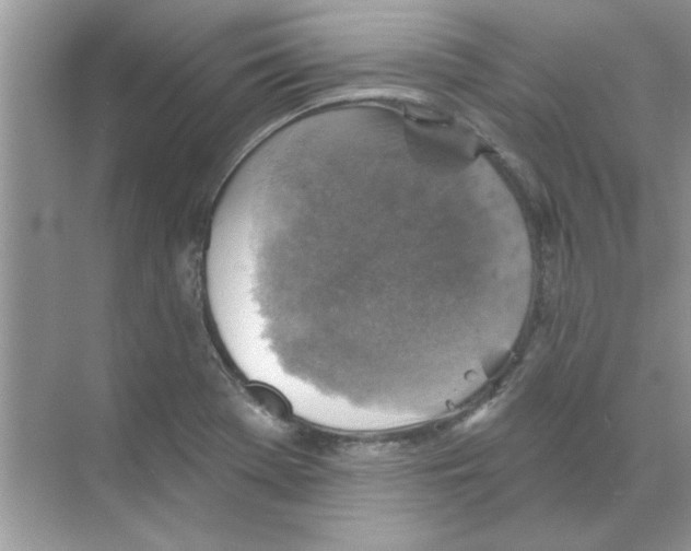 X0000068891369200606021908