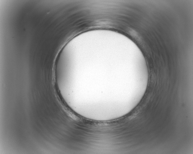 X0000068891370200606021908