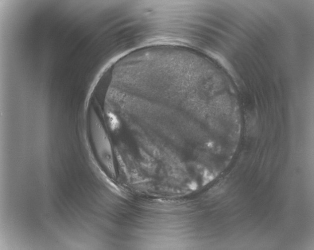 X0000068891371200606021908