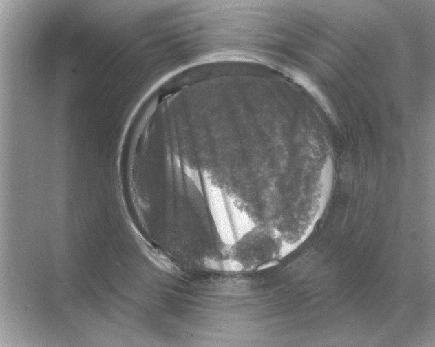 X0000068891372200606021908