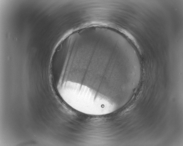 X0000068891373200606021908