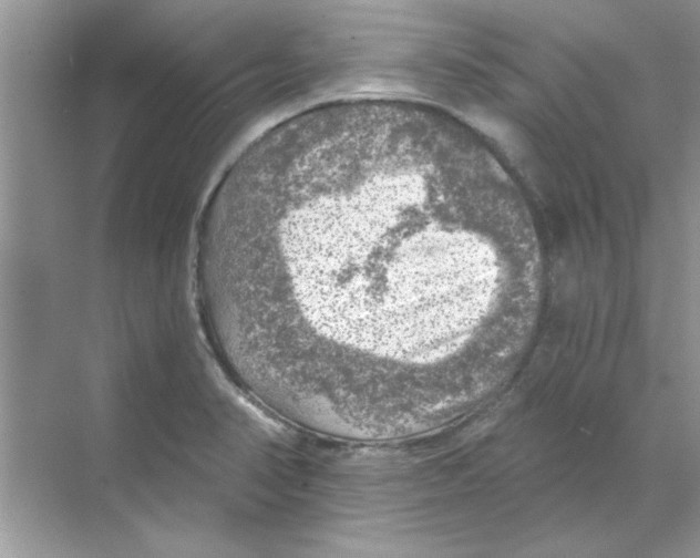 X0000068891374200606021908