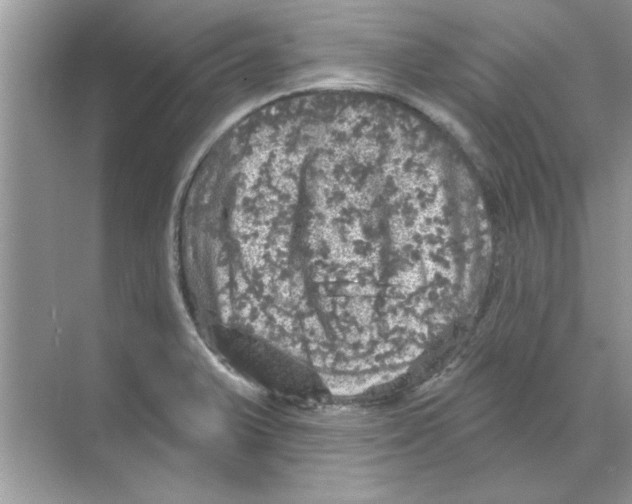 X0000068891375200606021908