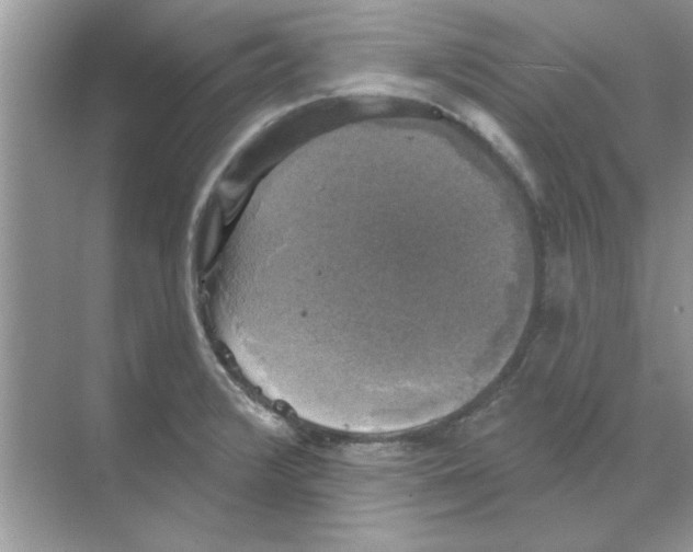 X0000068891376200606021908