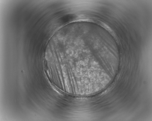 X0000068891377200606021908