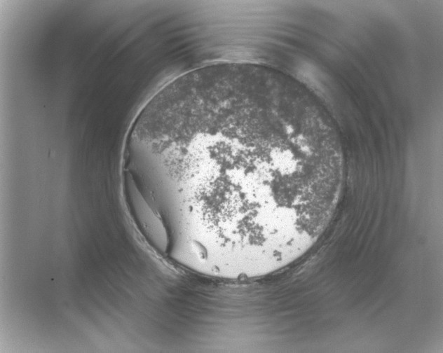 X0000068891378200606021908