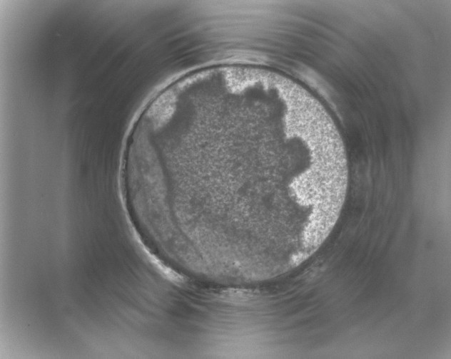 X0000068891379200606021908