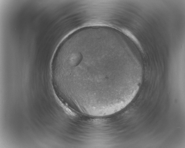 X0000068891380200606021908