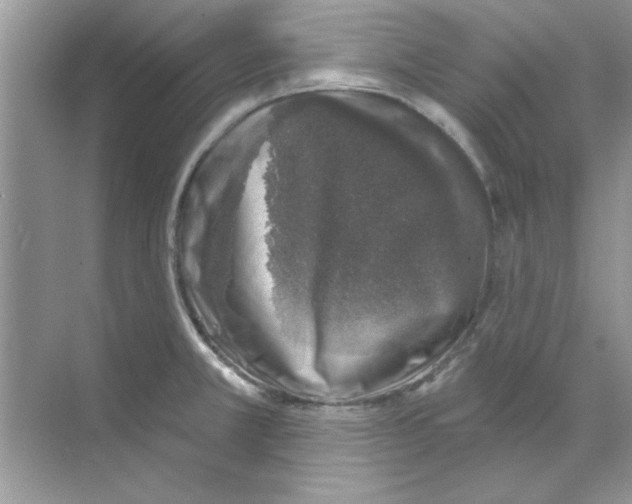 X0000068891381200606021908