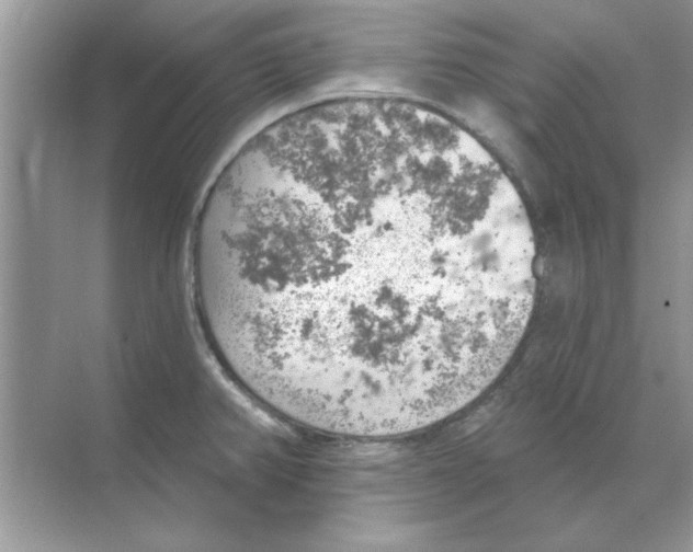 X0000068891382200606021908