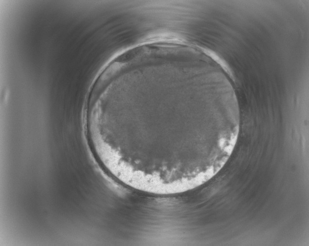 X0000068891383200606021908