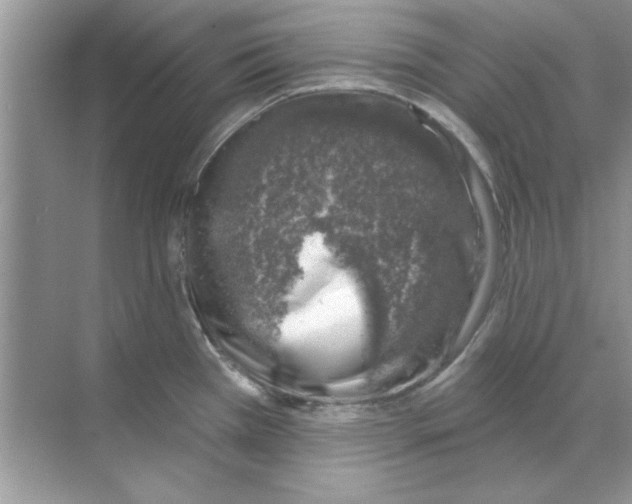 X0000068891385200606021908