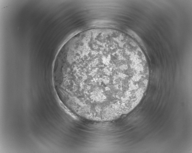 X0000068891386200606021908