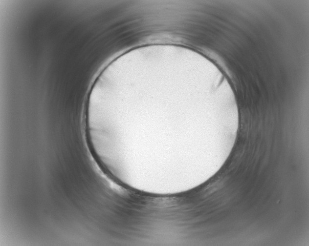 X0000068891387200606021908