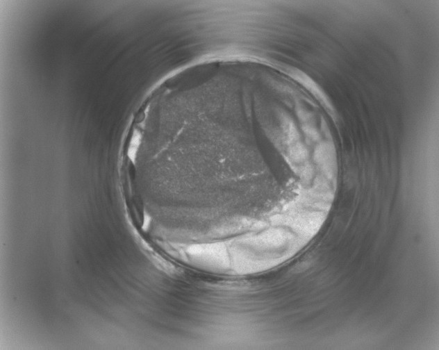 X0000068891388200606021908