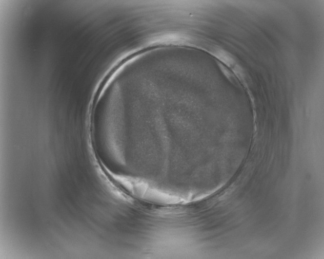 X0000068891392200606021908