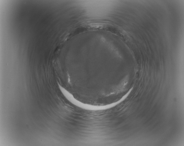 X0000068891394200606021907