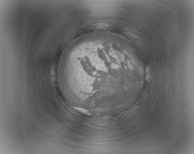 X0000068891395200606021907