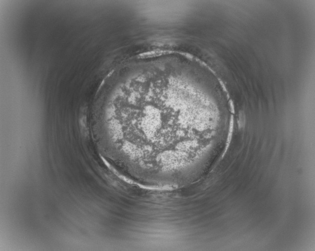 X0000068891396200606021907