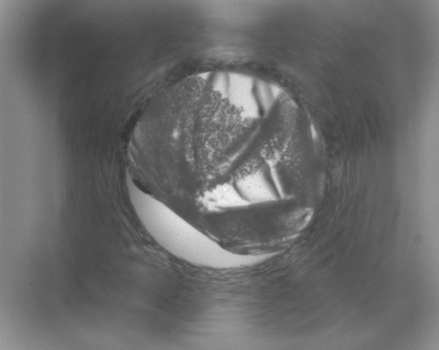 X0000068891397200606021907