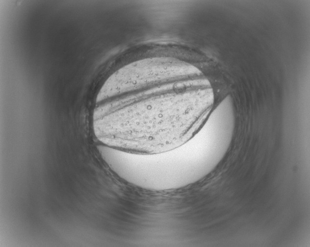 X0000068891398200606021907