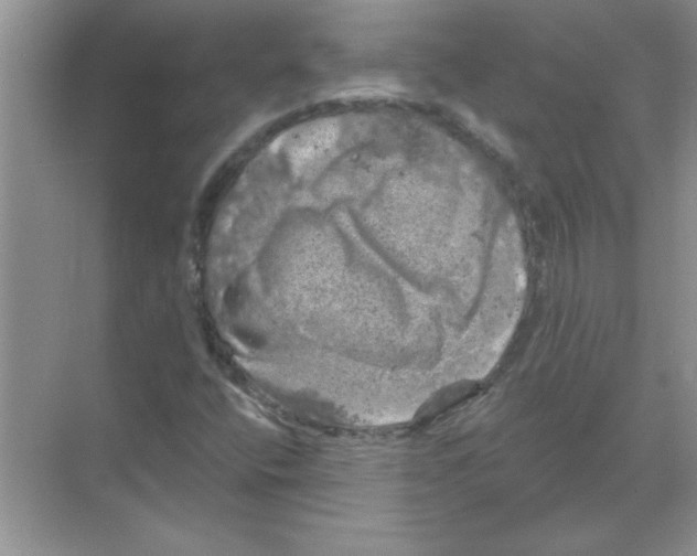 X0000068891400200606021907