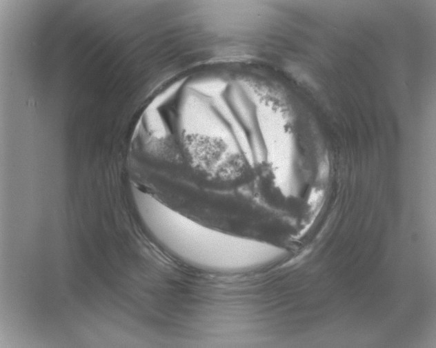 X0000068891401200606021907