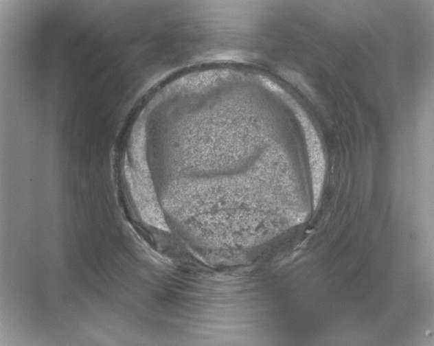 X0000068891404200606021907