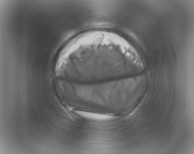 X0000068891405200606021907