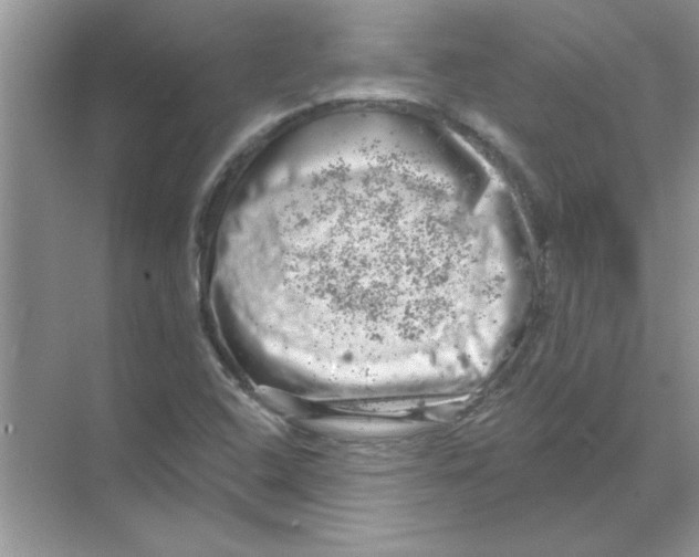 X0000068891408200606021907