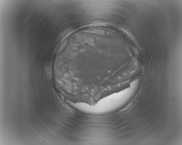 X0000068891409200606021907