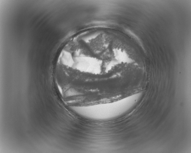 X0000068891411200606021907