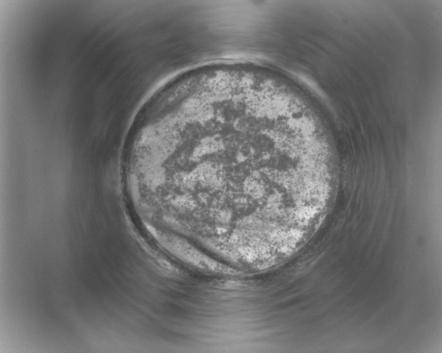 X0000068891412200606021907