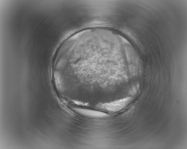 X0000068891413200606021907